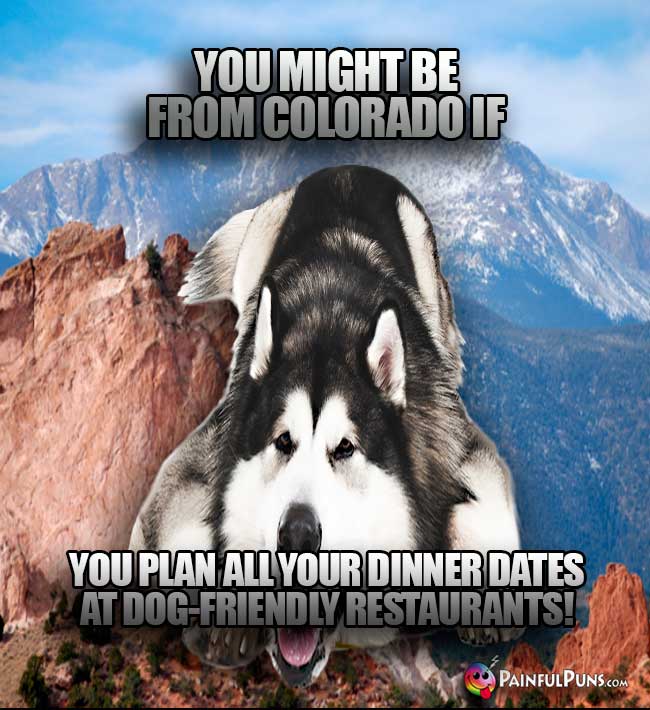 You might be from Colorado if you plan all your dinner dates at dog-friendly restaurants!