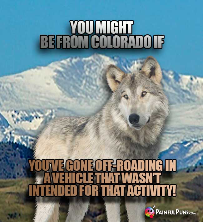 You might be from Colorado if you've gone off-roading in a vehicle that wasn't intended for tht activity!