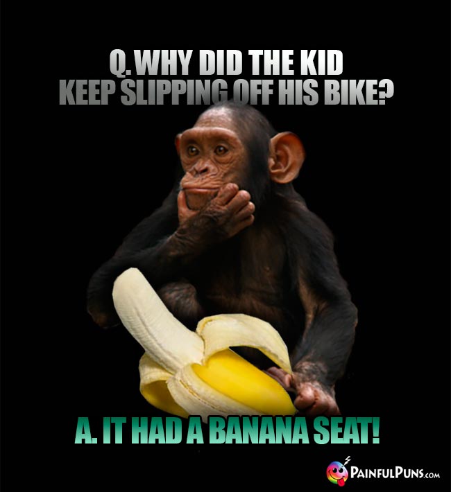 Monkey telling banana jokes: Why did te kid keep slipping off his bike? A. It had a banana seat!