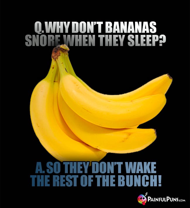 Banana Riddle: Q. Why don't bananas snore when they sleep? A. So they don't wake the rest of the bunch!