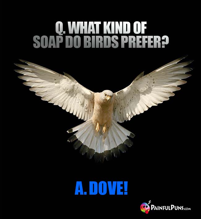 Q. What kind of soap do birds prefer? A. Dove!