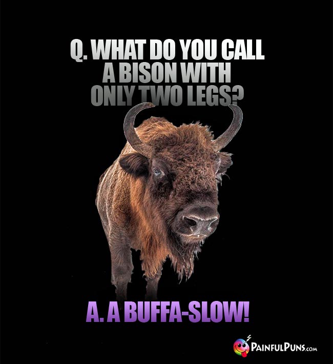 Q. What do you call a bison with only two legs? a. A buffa-slow!