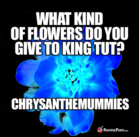 What kind of flowers do you give to King Tut? Chrysanthemummies.