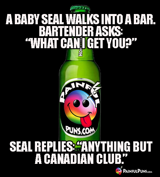 A baby seal walks into a bar. Bartender asks: "What can I get you?" Seal replies: "Anything but a Canadian club."