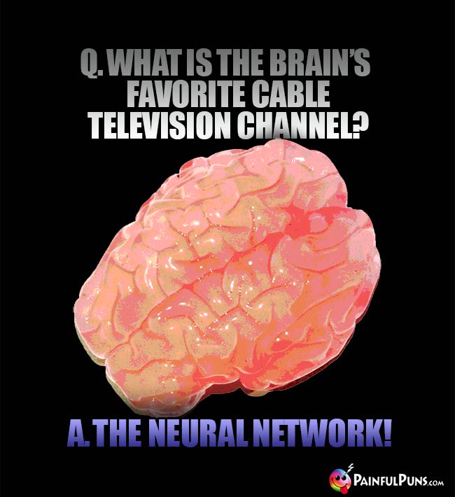 Q. What is the brain's favorite cable television channel? A. The Neural Network!
