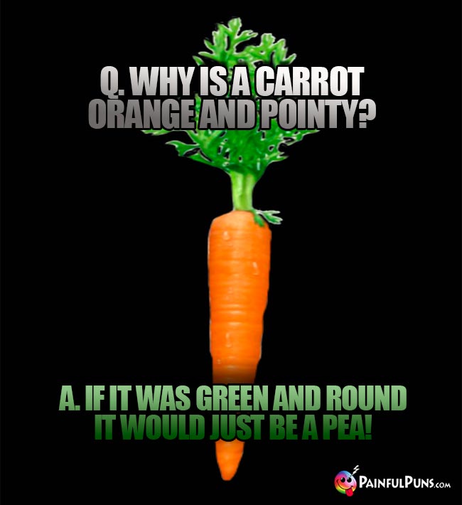 Q. Why is a carrot orange and pointy? A. If it was green and round it would just be a pea!