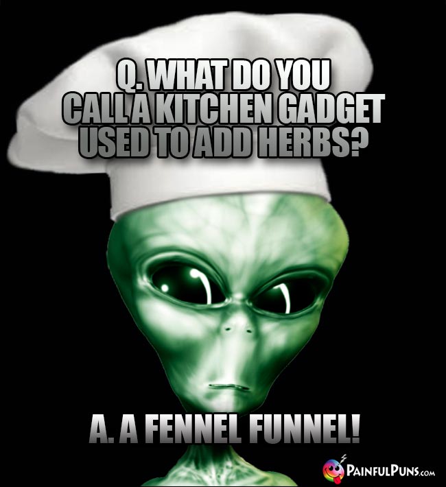 Et Chef Asks: What do you call a kitchen gadget used to add herbs? A. A fennel funnel!