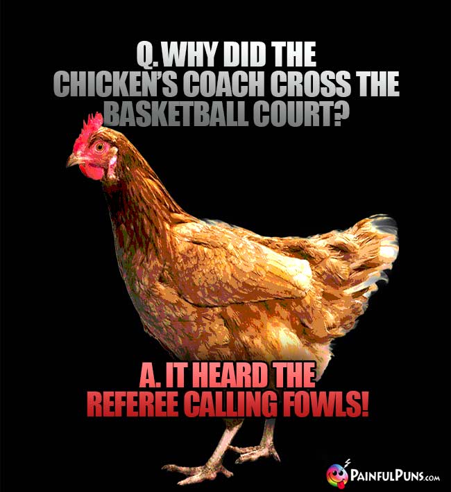 Q. Why did the chicken's coach cross the basketball court? A. It heard the referee calling fowls!