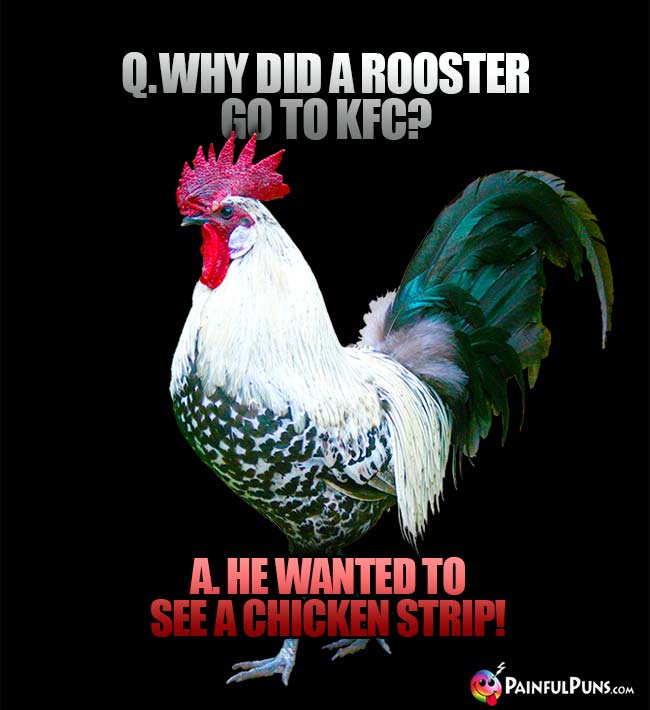 Q. Why did a rooster go to KFC? A. He wanted to see a chicken strip!