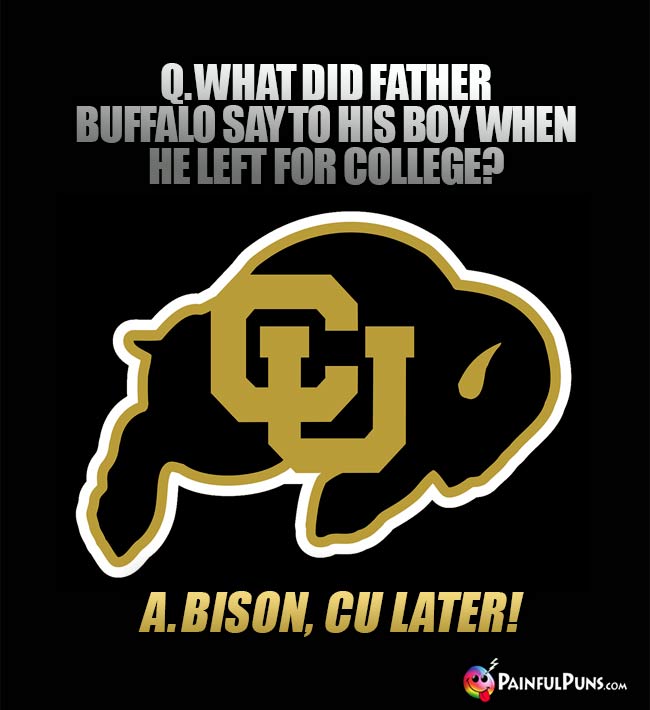 Q. What did father buffalo say to his boy when he left for college? A. Bison, CU later!