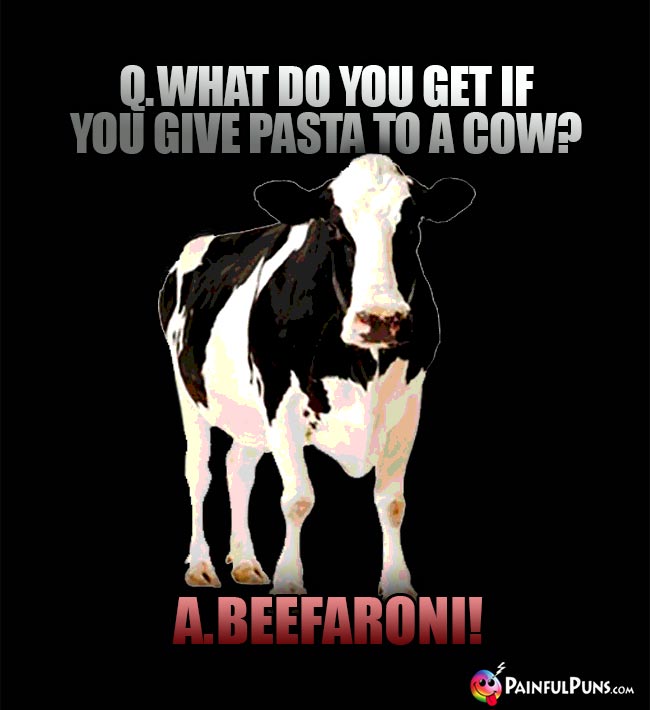 Q. What do you get if you give pasta to a cow? A. Beefaroni!