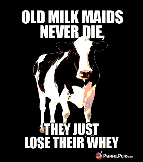 Old Milk Maids Never Die, They Just Lose Their Whey.