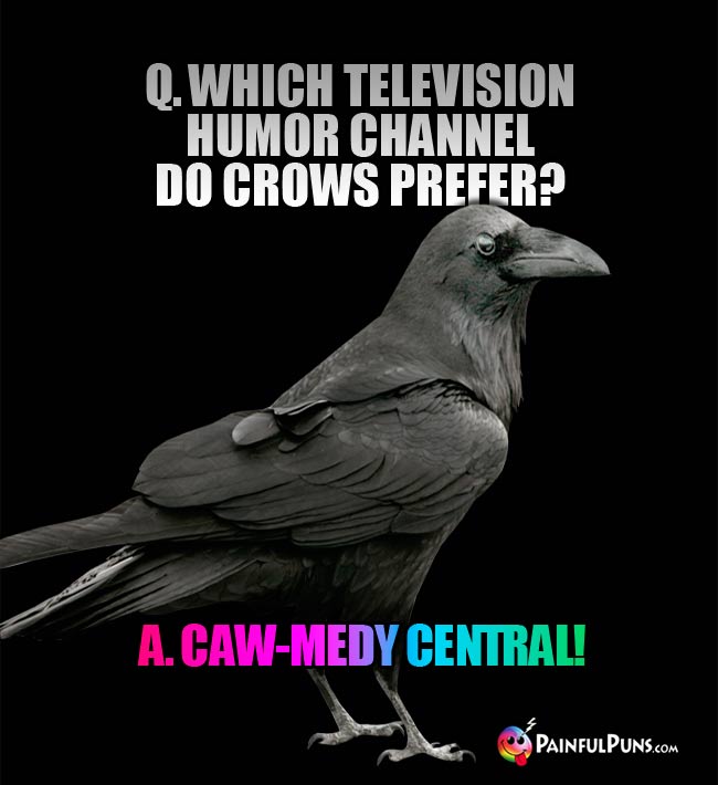 Q. Which television humor channel do crows prefer? A. Caw-medy Central!