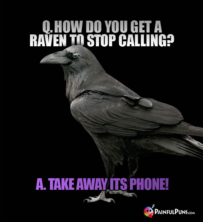 Q. How do you get a raven to stop calling? A. Take away its phone!