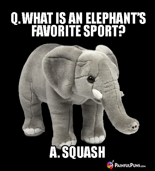 Painful Animal Puns: Q. What is an elephant's favorite sport? A. Squash