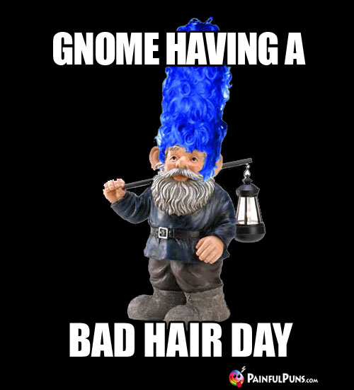 Garden Gnome, having a bad hair day!