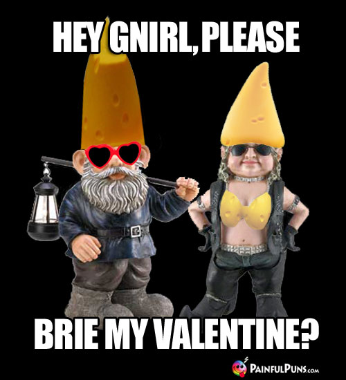 Hey Gnirl, Please Brie My Valentine?