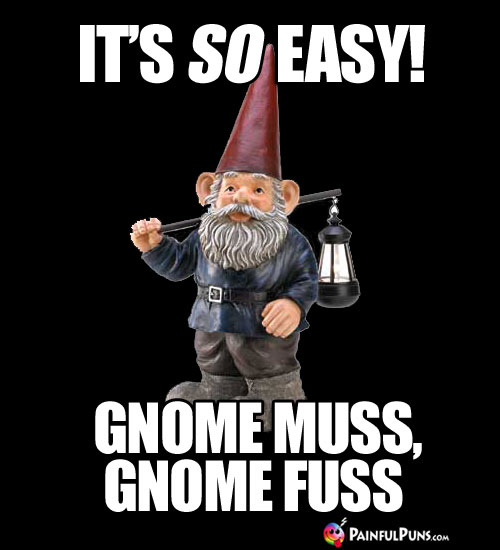 It's so easy! Gnome Muss, Gnome Fuss