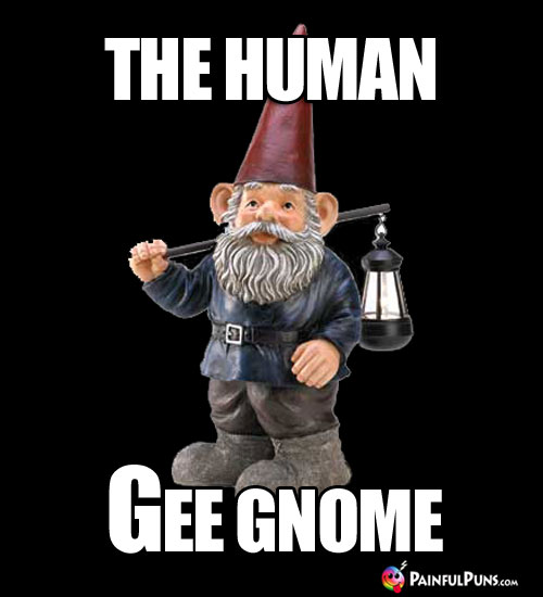 The Human Gee Gnome
