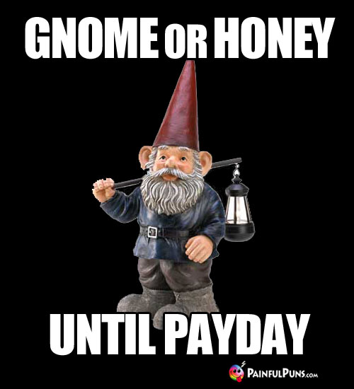 Gnome or Honey Until Payday