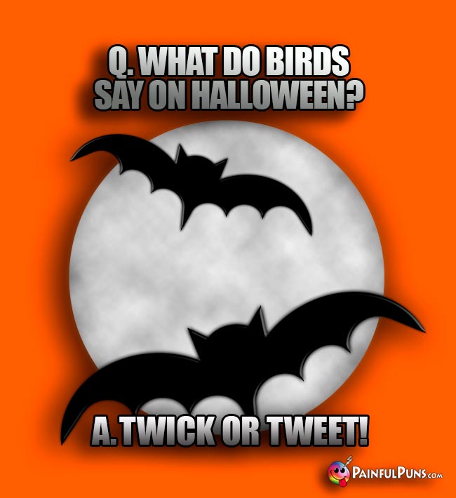 Q. What do birds say on Halloween? A. Twick or Tweet!