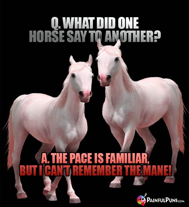 Q. What did one horse say to another? A. The pace is familiar, but I can't remember the mane!