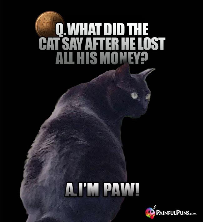 Q. What did the cat say after he lost all his money? A. I'm Paw!