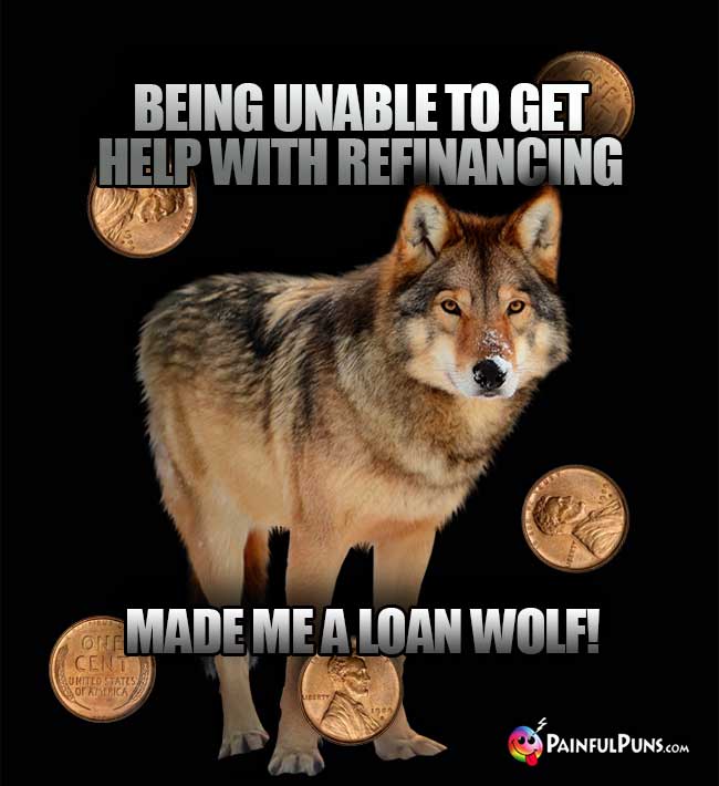 Being unable to get help with refinancing made me a loan wolf!