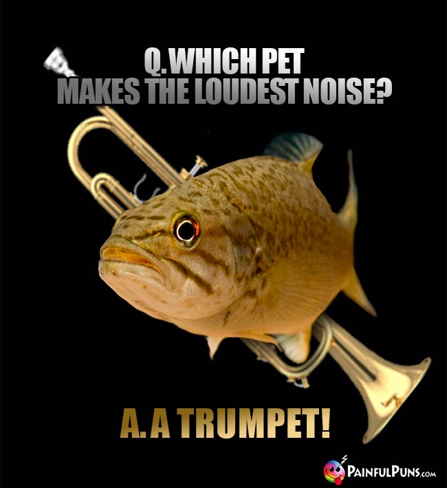 Fish Asks: Which pet makes the loudest noise? A. A Trumpet!