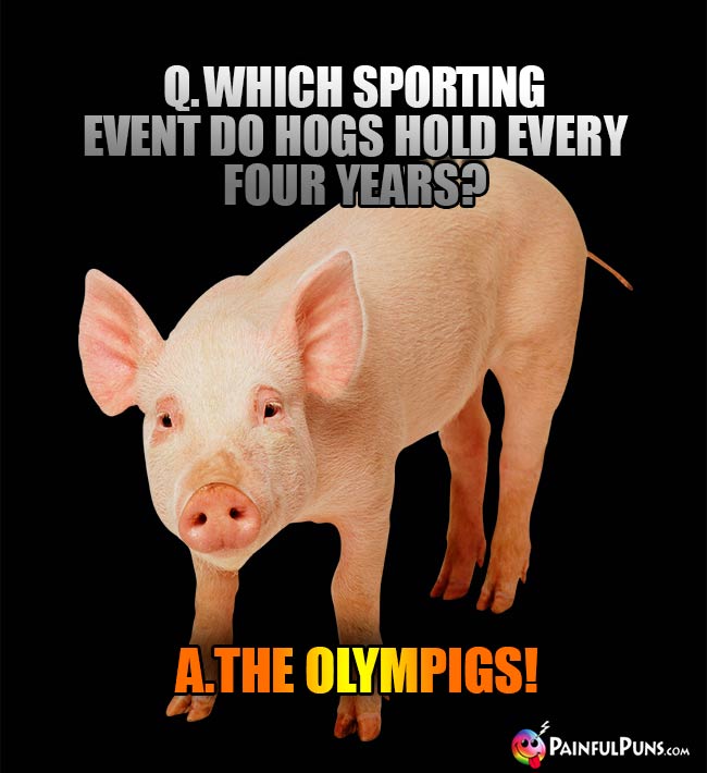Q. Which sporting event do hogs hold every four years? A. The Olympigs!