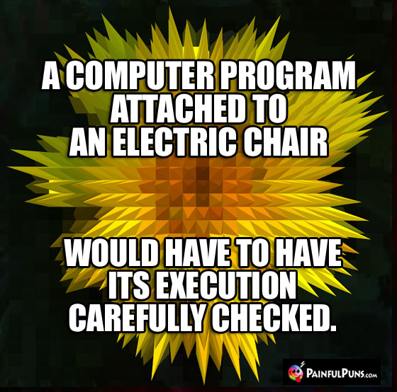 A computer program attached to an electric chair would have to have its execution carefully checked.