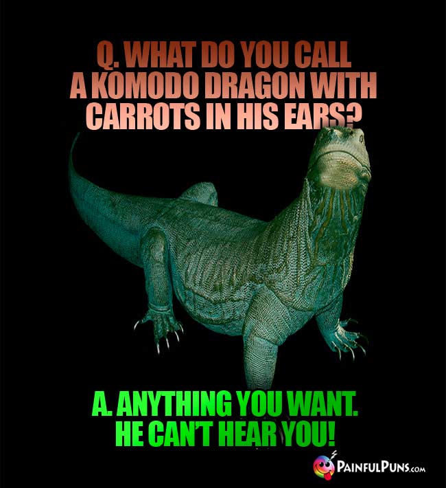 Q. What do you call a Komodo Dragon with carrots in his ears? A. Anything you want. He can't hear you!