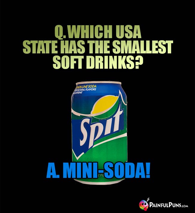 Q. Which USA state has the smallest soft drinks? A. Mini-Soda!