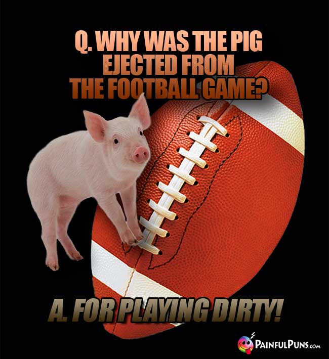 Q. Why was the pig ejected from the football game? A. For Playing Dirty!