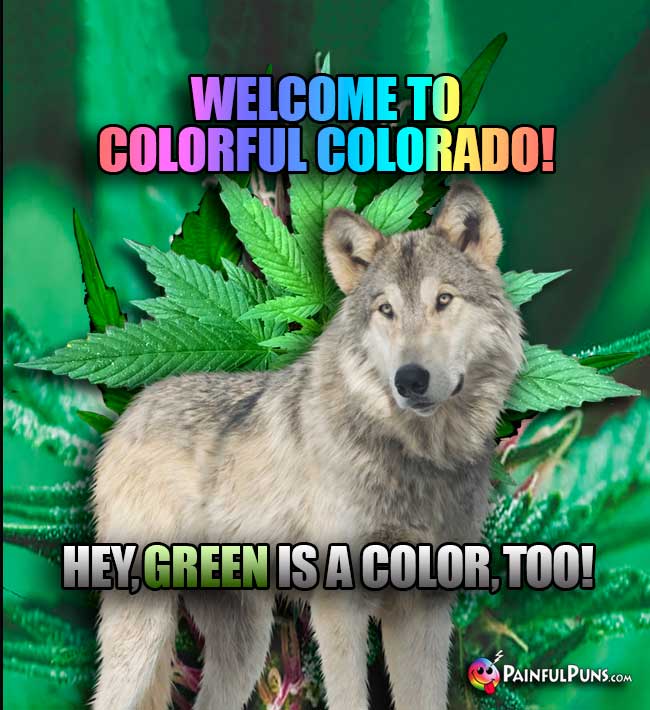 Stoner Wolf Says: Welcome to Colorful Colorado! Hey, GREEN is a color, too!