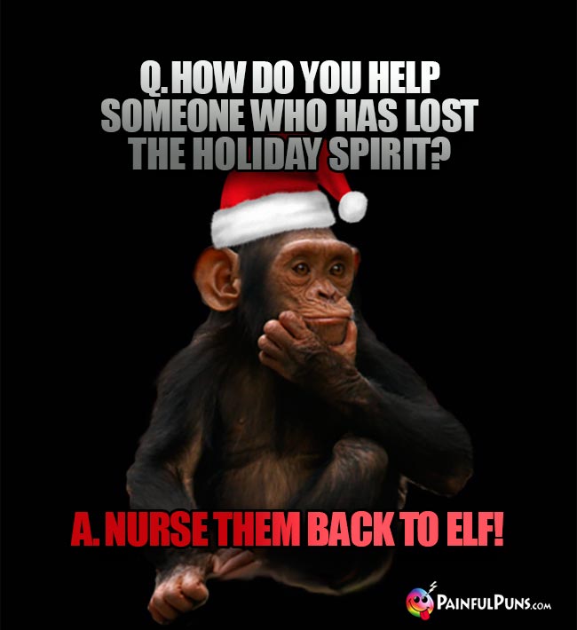 Q. How do you help someone who has lost the holiday spirit? A. Nurse them back to elf!